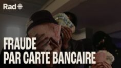 fraude-organisee-enquete-rad