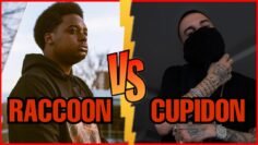 fleches-lancer-entre-raccoon-et