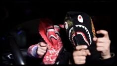 zayo-mowgli-clip-officiel-1