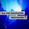 L’avenir de la vie nocturne à Montréal | Parcours