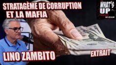 stratageme-et-mafia-lino-zambito