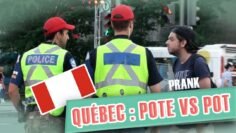 Pranque au Québec : Pote VS Pot