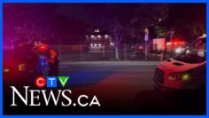 Mom and 3-year-old son drown in pool, Montreal police say