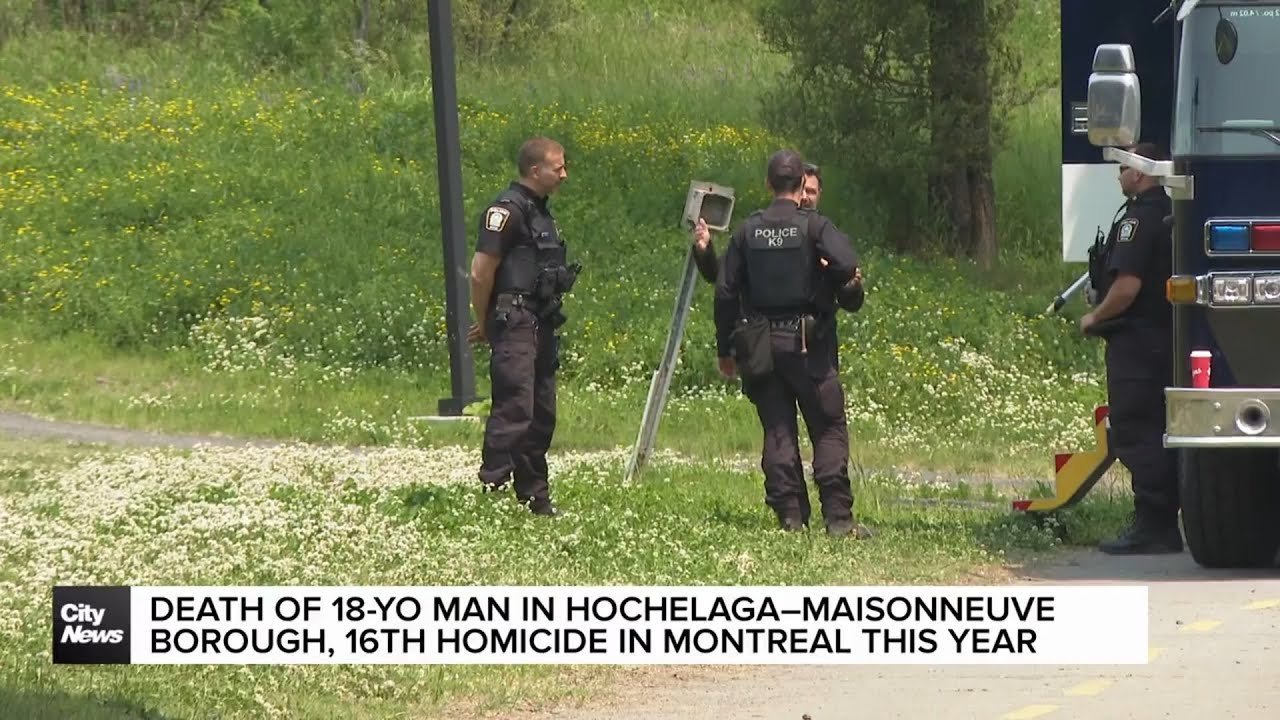 SPVM confirms the 16th homicide of the year in Montréal