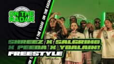 The Shreez x Salgrimo x Peeda x YoAlain! On The Radar Freestyle