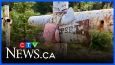 Search for children’s remains at former Quebec residential schools