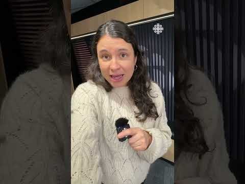 Un jeune tué par arme à feu dans Bellechasse | Vidéojournal