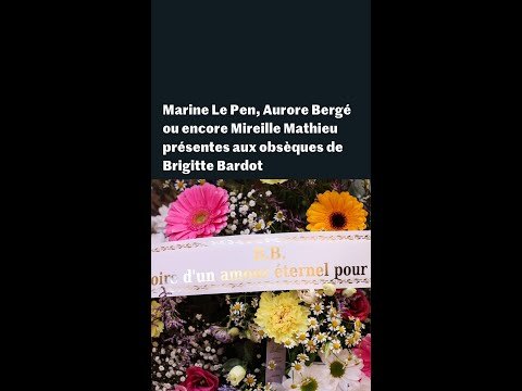 Obsèques de Brigitte Bardot : les images des différentes personnalités présentes