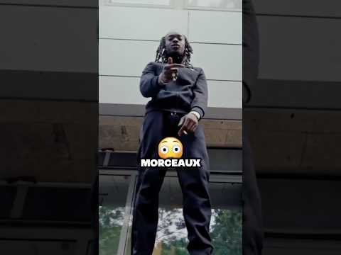 TOP 3 : Les morceaux les plus streamés de La Rvfleuze #rap #larvfleuze #rapfrancais 🔥🌿